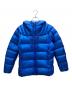 Patagonia（パタゴニア）の古着「ウィメンズ フィッツロイ ダウン」｜ブルー