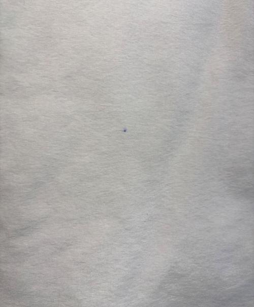 THE NORTH FACE（ザ ノース フェイス）THE NORTH FACE (ザ ノース フェイス) マカルダウンコート ベージュ サイズ:SIZE Lの古着・服飾アイテム