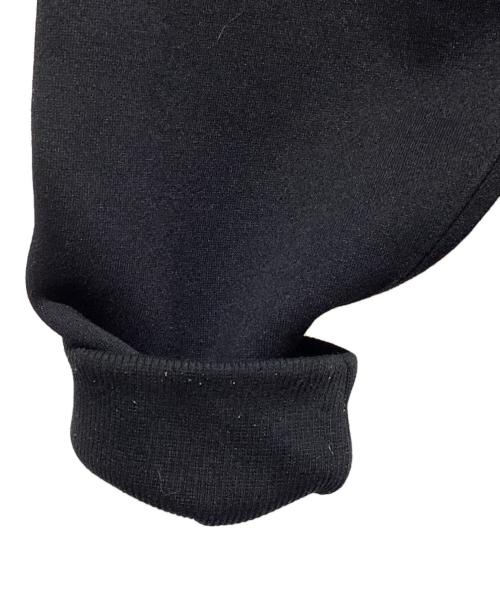 THE NORTH FACE（ザ ノース フェイス）THE NORTH FACE (ザ ノース フェイス) アウトドアウェア(その他) ブラック サイズ:SIZE Lの古着・服飾アイテム