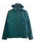 THE NORTH FACE（ザ ノース フェイス）の古着「APEX FLEX GTX JACKET」｜グリーン