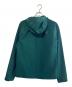 THE NORTH FACE (ザ ノース フェイス) APEX FLEX GTX JACKET グリーン サイズ:SIZE S：16000円