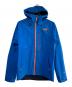 THE NORTH FACE（ザ ノース フェイス）の古着「APEX FLEX GTX 2.0 JACKET」｜ブルー