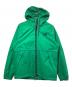 THE NORTH FACE（ザ ノース フェイス）の古着「アントラ レイン フーディ」｜グリーン