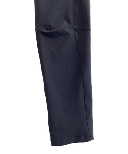 THE NORTH FACE（ザ ノース フェイス）THE NORTH FACE (ザ ノース フェイス) アルパインライトパンツ ブラック サイズ:SIZE Lの古着・服飾アイテム