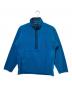Patagonia（パタゴニア）の古着「シンチラフリースプルオーバー」｜ブルー