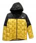 THE NORTH FACE（ザ ノース フェイス）の古着「ポラリスインサレーテッドフーディ」｜イエロー