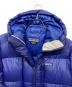 中古・古着 Patagonia (パタゴニア) アウトドアウェア(ジャケット) ブルー サイズ:SIZE S：25000円