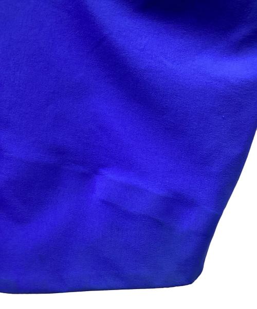 TERNUA（テルヌア）TERNUA (テルヌア) アセントゴアテックスプロジャケット ブルー サイズ:SIZE XSの古着・服飾アイテム