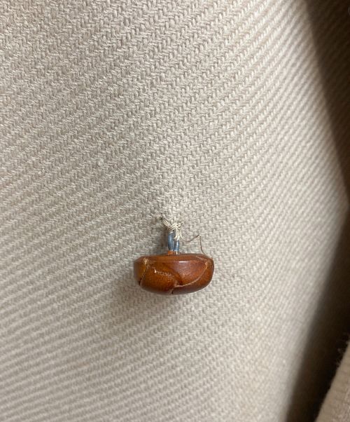 Maison Margiela（メゾンマルジェラ）Maison Margiela (メゾンマルジェラ) REPLICA ダブルブレストウールコート ベージュ サイズ:48の古着・服飾アイテム