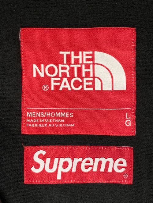 SUPREME（シュプリーム）SUPREME (シュプリーム) THE NORTH FACE (ザ ノース フェイス) Metallic Mountain Parka ゴールド サイズ:Lの古着・服飾アイテム