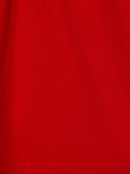 BALENCIAGA（バレンシアガ）BALENCIAGA (バレンシアガ) Swim shorts レッド サイズ:Lの古着・服飾アイテム