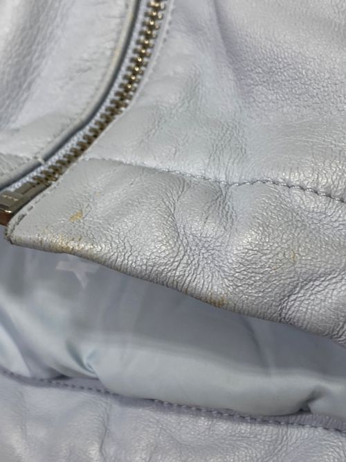 SUPREME（シュプリーム）SUPREME (シュプリーム) GORE-TEX Leather Jacket スカイブルー サイズ:Lの古着・服飾アイテム