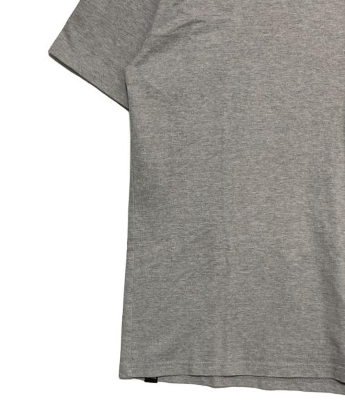 Hysteric Glamour（ヒステリックグラマー）Hysteric Glamour (ヒステリックグラマー) HYSTERIC FAMILY TEE グレー サイズ:XLの古着・服飾アイテム