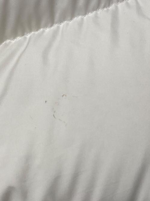 MONCLER（モンクレール）MONCLER (モンクレール) POIRIER GIUBBOTTO ホワイト サイズ:1の古着・服飾アイテム