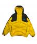 THE NORTH FACE（ザ ノース フェイス）の古着「800-Fill Half Zip Hooded Pullover」｜イエロー×ブラック