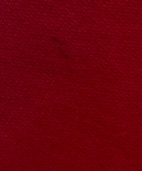 VETEMENTS（ヴェトモン）VETEMENTS (ヴェトモン) 16AW Metal Logo Hoodie レッド サイズ:Sの古着・服飾アイテム