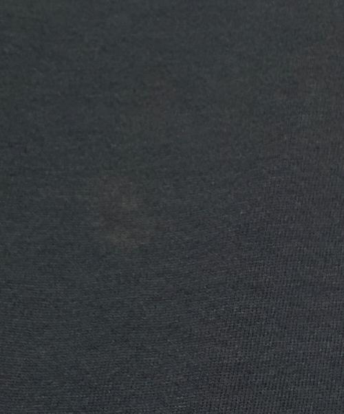 RUSSELL ATHLETIC（ラッセルアスレチック）RUSSELL ATHLETIC (ラッセルアスレチック) ヘンリーネックサーマルフーディ ネイビー サイズ:Lの古着・服飾アイテム