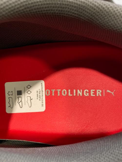 PUMA（プーマ）PUMA (プーマ) Ottolinge (オットリンガー) Mostro 'Aged Silver Red' グレー×オレンジ サイズ:31 未使用品の古着・服飾アイテム