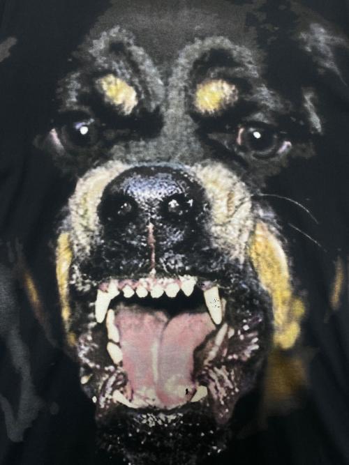 GIVENCHY（ジバンシィ）GIVENCHY (ジバンシィ) Rottweiler Printed T-Shirt ブラック サイズ:Sの古着・服飾アイテム