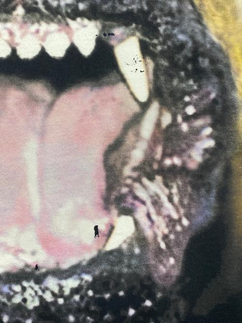 GIVENCHY（ジバンシィ）GIVENCHY (ジバンシィ) Rottweiler Printed T-Shirt ブラック サイズ:Sの古着・服飾アイテム
