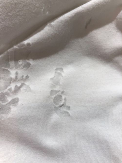 Dior（ディオール）Dior (ディオール) オブリークジャガードTシャツ ホワイト サイズ:Mの古着・服飾アイテム