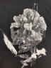 中古・古着 Y's (ワイズ) COTTON JERSEY FLOWER PRINT ROUND NECK T ブラック サイズ:2：5000円
