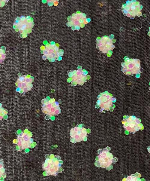 RED VALENTINO（レッドヴァレンティノ）RED VALENTINO (レッドヴァレンティノ) スパンコールシアーパンツ ブラック サイズ:38 未使用品の古着・服飾アイテム