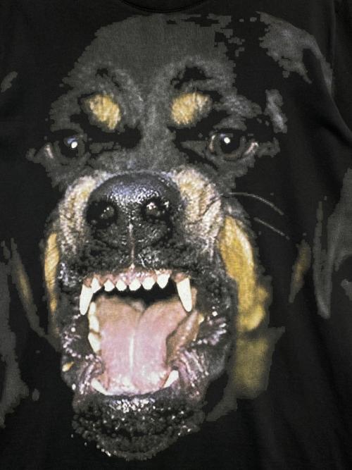 GIVENCHY（ジバンシィ）GIVENCHY (ジバンシィ) ロットワイラープリント Tシャツ ブラック サイズ:Mの古着・服飾アイテム