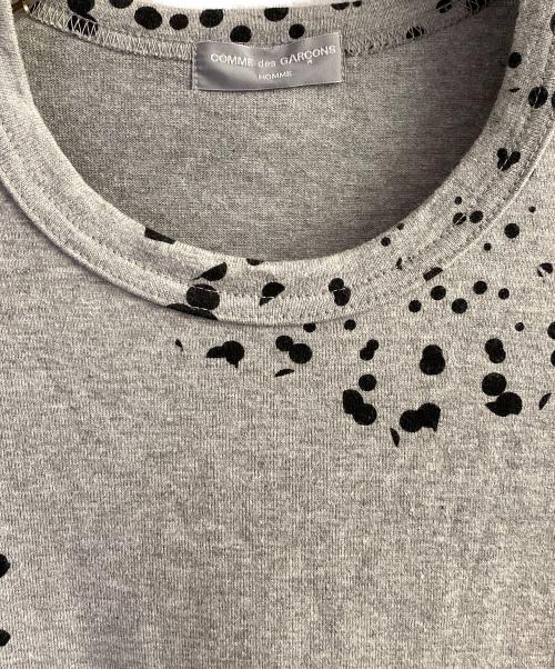 COMME des GARCONS HOMME（コムデギャルソン オム）COMME des GARCONS HOMME (コムデギャルソン オム) 水玉ドットプリントｔシャツ グレー サイズ:Mの古着・服飾アイテム