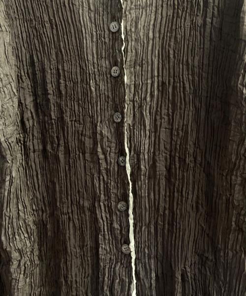 ISSEY MIYAKE（イッセイミヤケ）ISSEY MIYAKE (イッセイミヤケ) プリーツロングボタンシャツ ブラウン サイズ:Mの古着・服飾アイテム