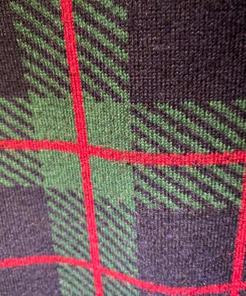 MIU MIU（ミュウミュウ）MIU MIU (ミュウミュウ) チェック柄 テディジッパージャケット グリーン サイズ:XLの古着・服飾アイテム