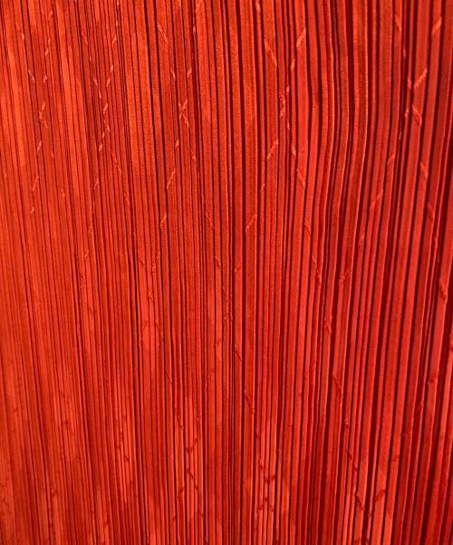 ISSEY MIYAKE（イッセイミヤケ）ISSEY MIYAKE (イッセイミヤケ) アーガイルプリーツスカート レッド サイズ:Lの古着・服飾アイテム