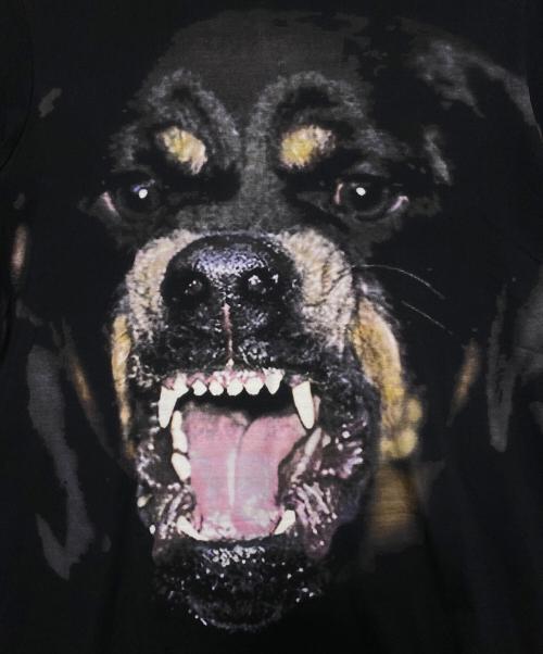 GIVENCHY（ジバンシィ）GIVENCHY (ジバンシィ) ロットワイラー ドッグプリント半袖Tシャツ ブラック サイズ:Mの古着・服飾アイテム