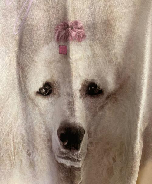 Acne studios（アクネ ストゥディオズ）Acne studios (アクネ ストゥディオズ) ドッグ プリントTシャツ ホワイト サイズ:Mの古着・服飾アイテム