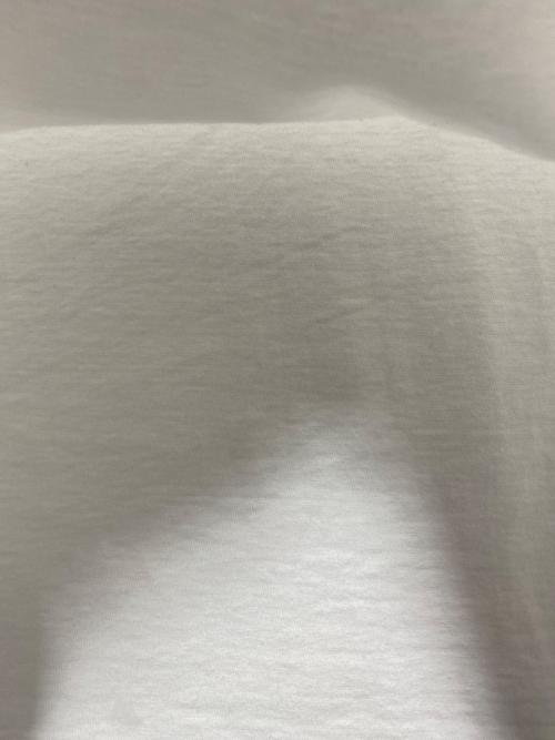 SUPREME（シュプリーム）SUPREME (シュプリーム) 26SS Shunk Tee ホワイト サイズ:Sの古着・服飾アイテム