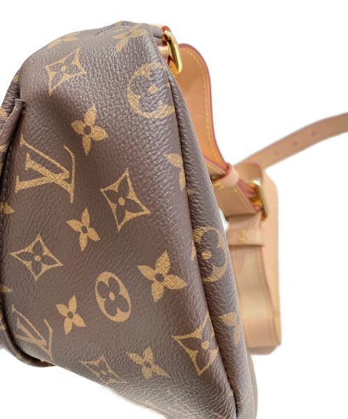 LOUIS VUITTON（ルイ ヴィトン）LOUIS VUITTON (ルイ ヴィトン) バムバッグ ブラウン サイズ:-の古着・服飾アイテム