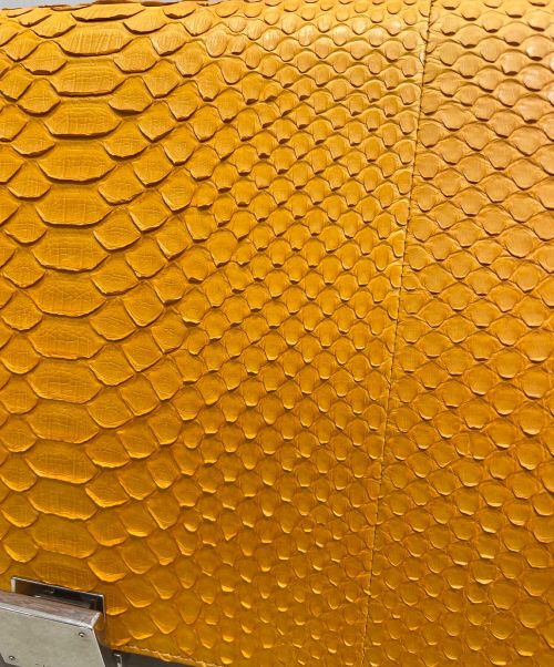 CELINE（セリーヌ）CELINE (セリーヌ) トラペーズ パイソン イエロー×ベージュ サイズ:ミディアムの古着・服飾アイテム