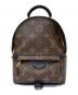 LOUIS VUITTON（ルイ ヴィトン）の古着「パームスプリングスバックパックミニ」
