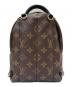 LOUIS VUITTON (ルイ ヴィトン) パームスプリングスバックパックミニ：230000円