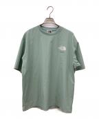 THE NORTH FACEザ ノース フェイス）の古着「アイスランラウンドTシャツ」｜ミント