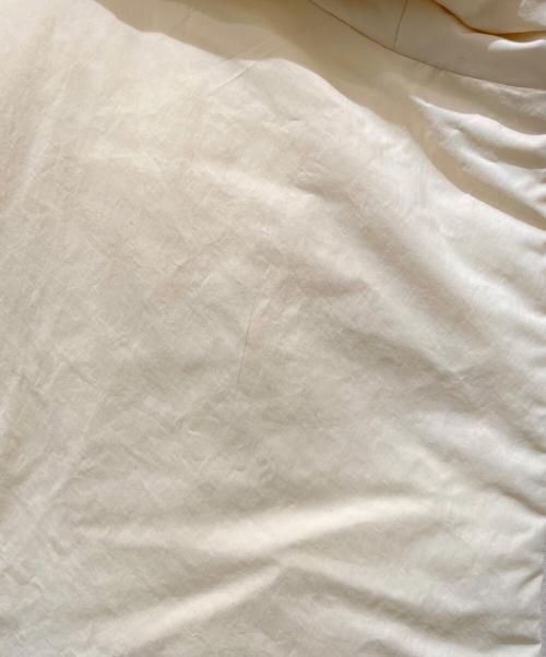 JIL SANDER+（ジルサンダープラス）JIL SANDER+ (ジルサンダープラス) フーデッドオーバーサイズナイロンダウンベスト イエロー サイズ:46の古着・服飾アイテム
