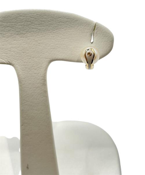 hirotaka（ヒロタカ）hirotaka (ヒロタカ) Bird of Paradise パールピアス(片耳)の古着・服飾アイテム