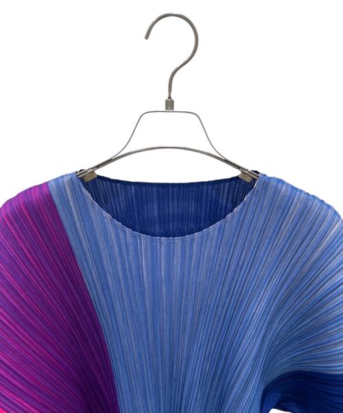 PLEATS PLEASE（プリーツプリーズ）PLEATS PLEASE (プリーツプリーズ) プリーツカットソー マルチカラー サイズ:Free 未使用品の古着・服飾アイテム
