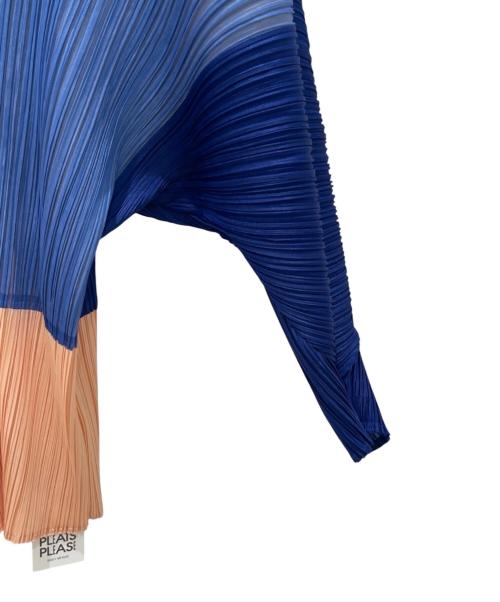 PLEATS PLEASE（プリーツプリーズ）PLEATS PLEASE (プリーツプリーズ) プリーツカットソー マルチカラー サイズ:Free 未使用品の古着・服飾アイテム