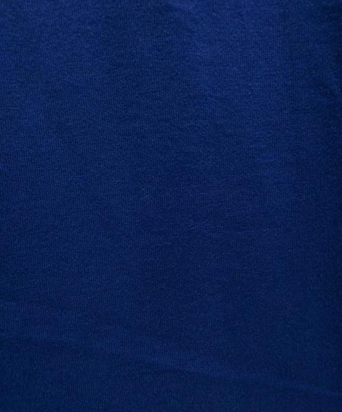 CELINE（セリーヌ）CELINE (セリーヌ) Triomphe Loose T-Shirt/トリオンフ ルーズ Tシャツ/2X04I671Q.GCP3 ブルー サイズ:Sの古着・服飾アイテム
