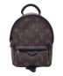 LOUIS VUITTON（ルイ ヴィトン）の古着「パームスプリングス バックパック MINI」｜ブラウン