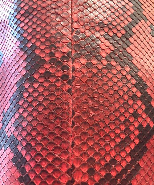 CELINE（セリーヌ）CELINE (セリーヌ) パイソン切替トートバッグ レッド×ブラック サイズ:-の古着・服飾アイテム