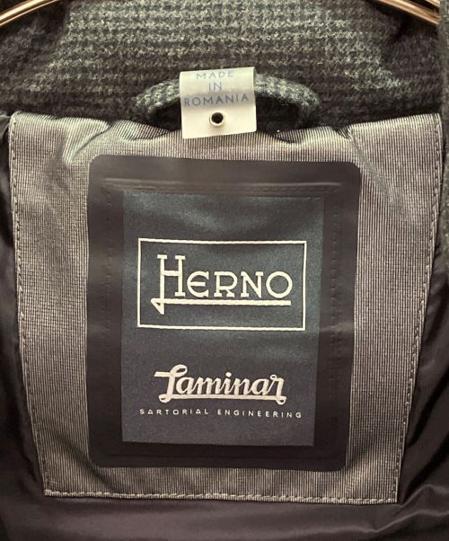 HERNO（ヘルノ）HERNO (ヘルノ) ダウンコート グレー サイズ:50の古着・服飾アイテム