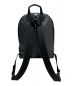 LOUIS VUITTON (ルイ ヴィトン) グラフィット ジョッシュ グレー：150000円