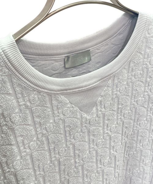 Dior（ディオール）Dior (ディオール) Dior Oblique パイル地 カットソー ブルー サイズ:Mの古着・服飾アイテム
